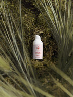 Anti-Age Day Cream